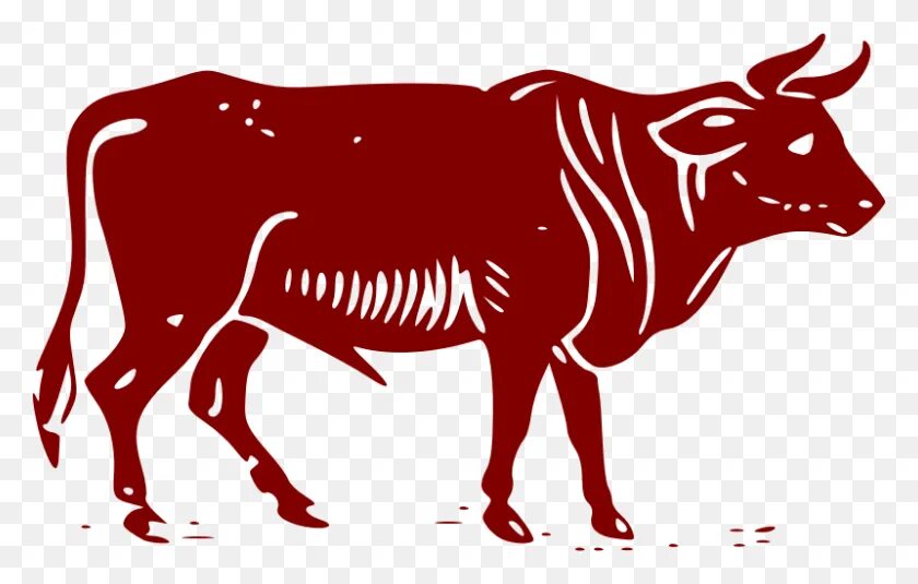 Год красной коровы. Силуэт быка красный. Бык мясной вектор. Бык рисунок. Корова логотип.