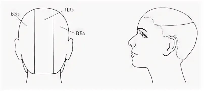 Зона затылка. Зоны волосяного Покрова головы схема. Основные зоны деления волосяного Покрова головы. Зоны и проборы головы для парикмахеров. Схема теменная зона головы.