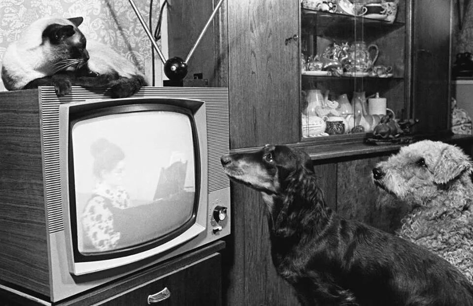 Старый телевизор. Старинный телевизор. Советский телевизор. Телевизор 70-е годы.