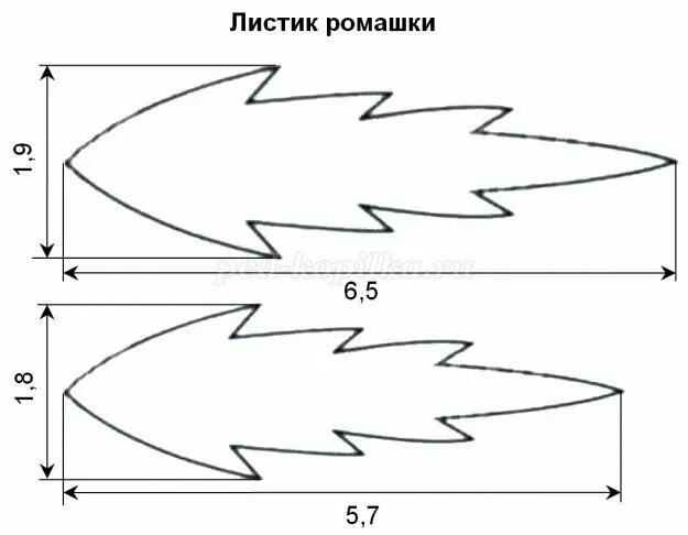 Трафарет листьев ромашки. Трафарет листьев ромашки