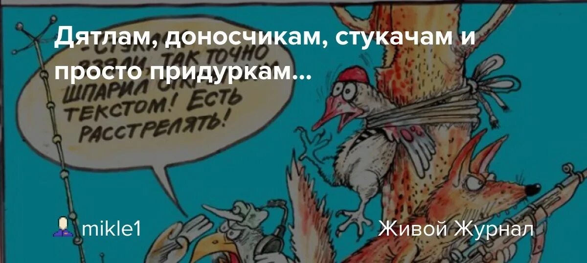 Как называют стукачей. Стукач в коллективе. Стукач прикол. Смешные фразы про стукачей. Дятел стукач.