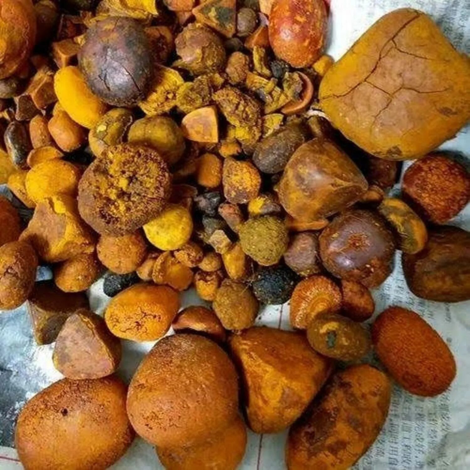 Ox gallstones. Желчный камень КРС.