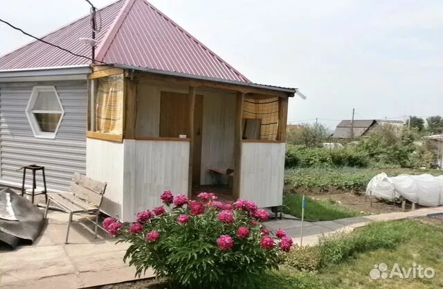 дачи чистые пруды. снт чистые пруды новокузнецк. дачи тамбовский район. снт ветеран тамбов. снт чистые пруды дмитров.