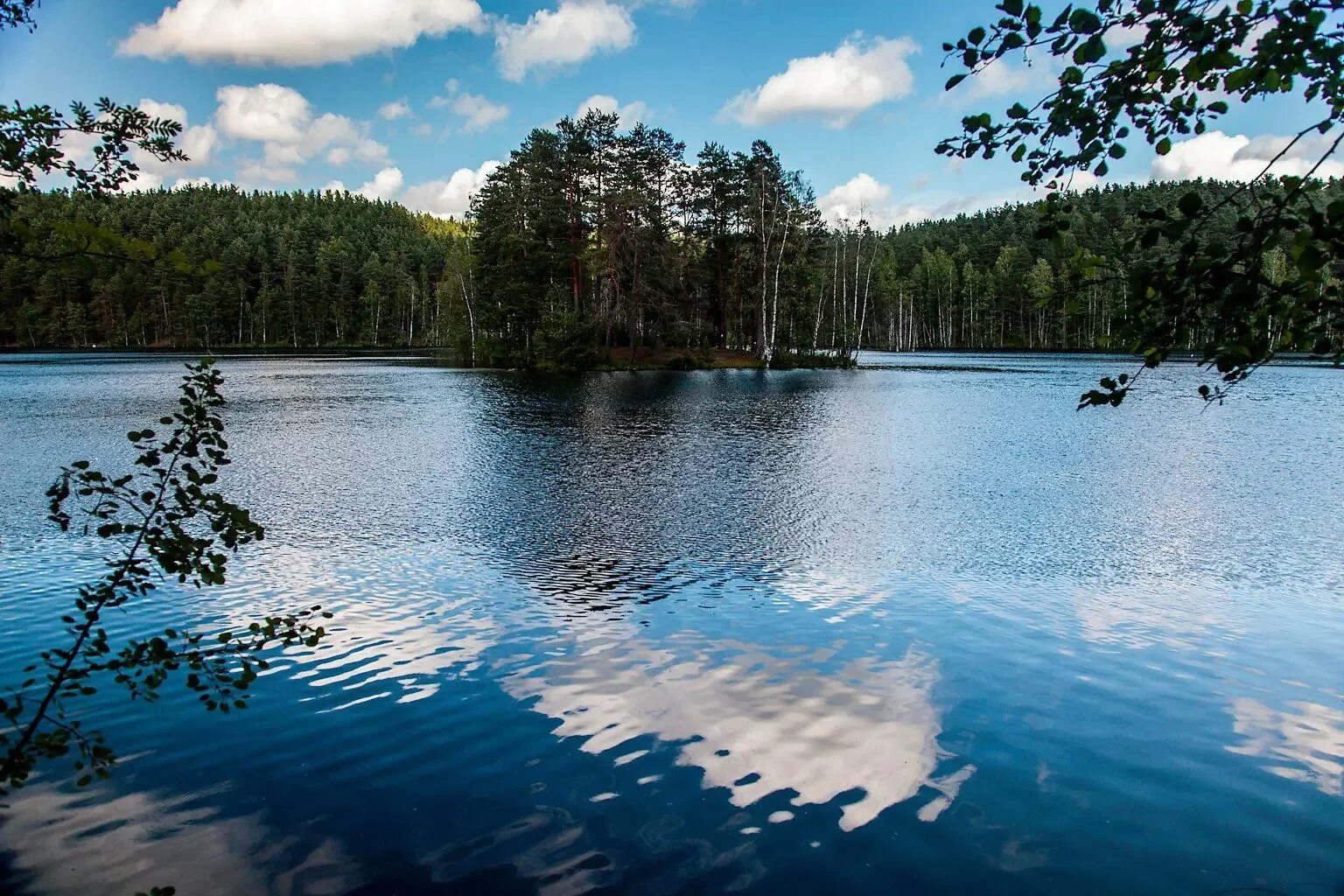 Озеро длинное название. Озеро Семиозерье Ленинградская. Симагинское озеро Ленинградская область. Голубое озеро в Ленинградской области Выборгский район. Озеро длинное Семиозерье.