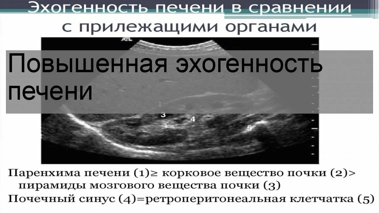 Кисель поджелудочная железа. Кисель поджелудочная железа