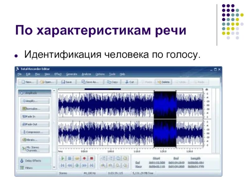 Определять человека по голосу. Идентификация по характеристикам речи. По характеристикам речи. Распознавание человека по голосу. Голосовая идентификация.