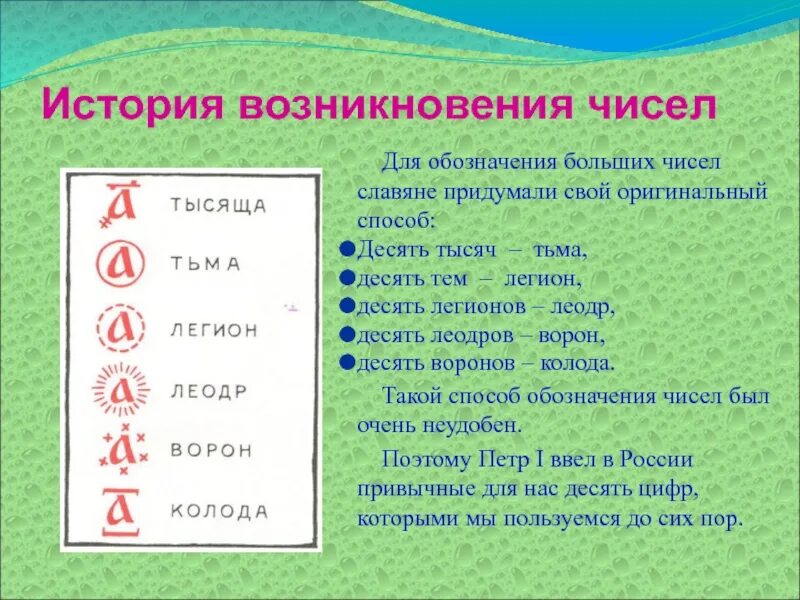 История чисел доклад. История возникновения чисел. История возникновение цифп. История возникновения цифр. Возникновение чисел проект.