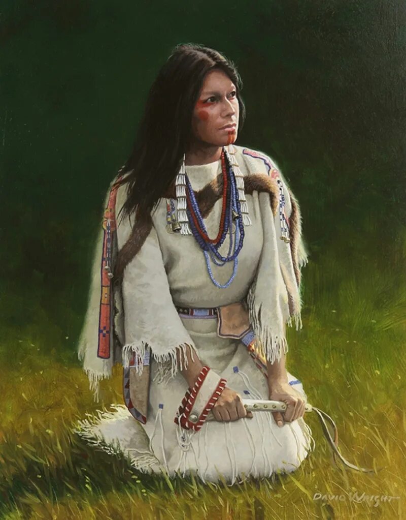 Индейцы Северной Америки. Национальный костюм индейцев Северной Америки. Одежда индейцев Северной Америки. Костюмы индейцев Северной Америки. Индейская жена дзен