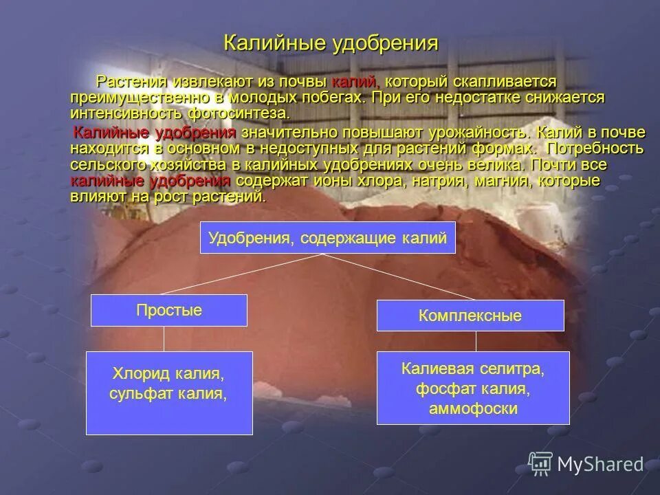влияние калия на растения. калийные удобрения виды. калий в растениях и почвах. круговорот калия в природе схема. калий в растениях и почвах.