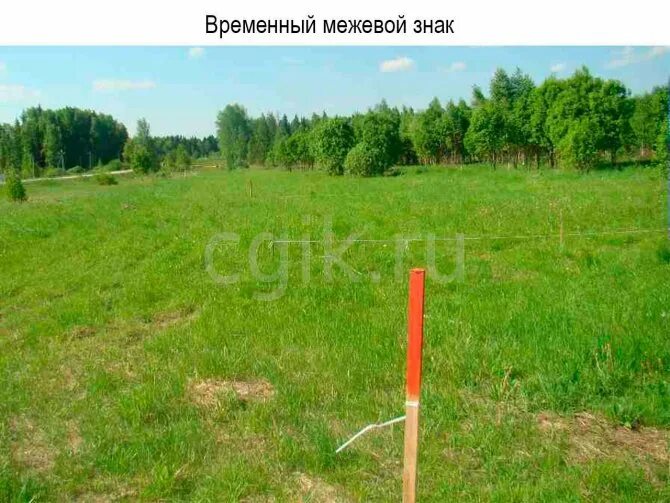 Межевые знаки на местности. Знаки межевания. Межевые колышки. Межевые знаки границ земельного. Межевые знаки границ земельного.