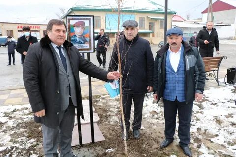 Тулее