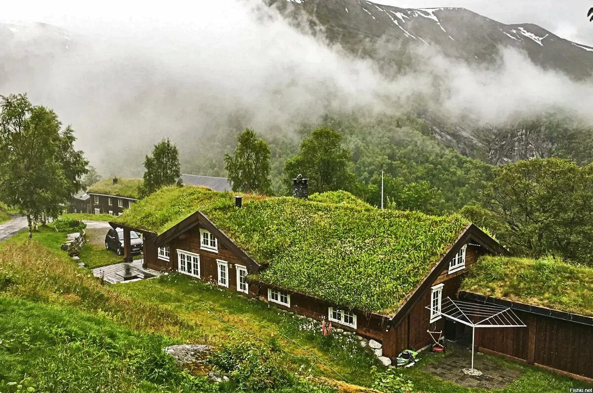 Зеленая кровля Норвегия. Травяные крыши в Норвегии. Зеленая кровля Скандинавия. Кровля в Норвегии с травой. Неведомый дом