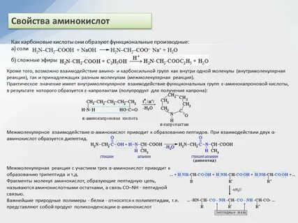 Амины образуются
