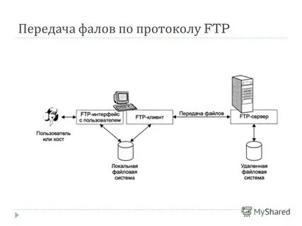 Файловый сервер ftp