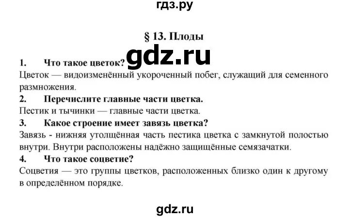 Биология 6 класс 6 параграф вопросы