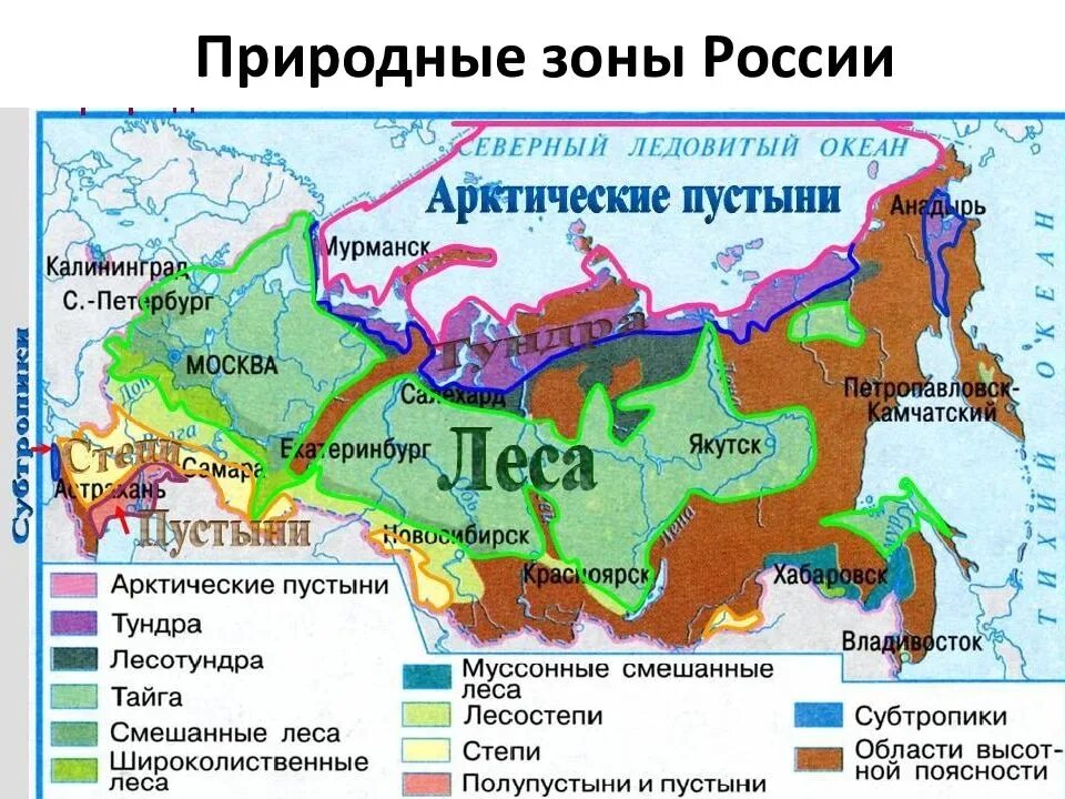 Карта природных зон России 4 класс окружающий мир. Географическая карта природных зон России 4 класс окружающий мир. Карта природные зоны России 4 класс окружающий мир карта. Расположение природных зон на карте России.