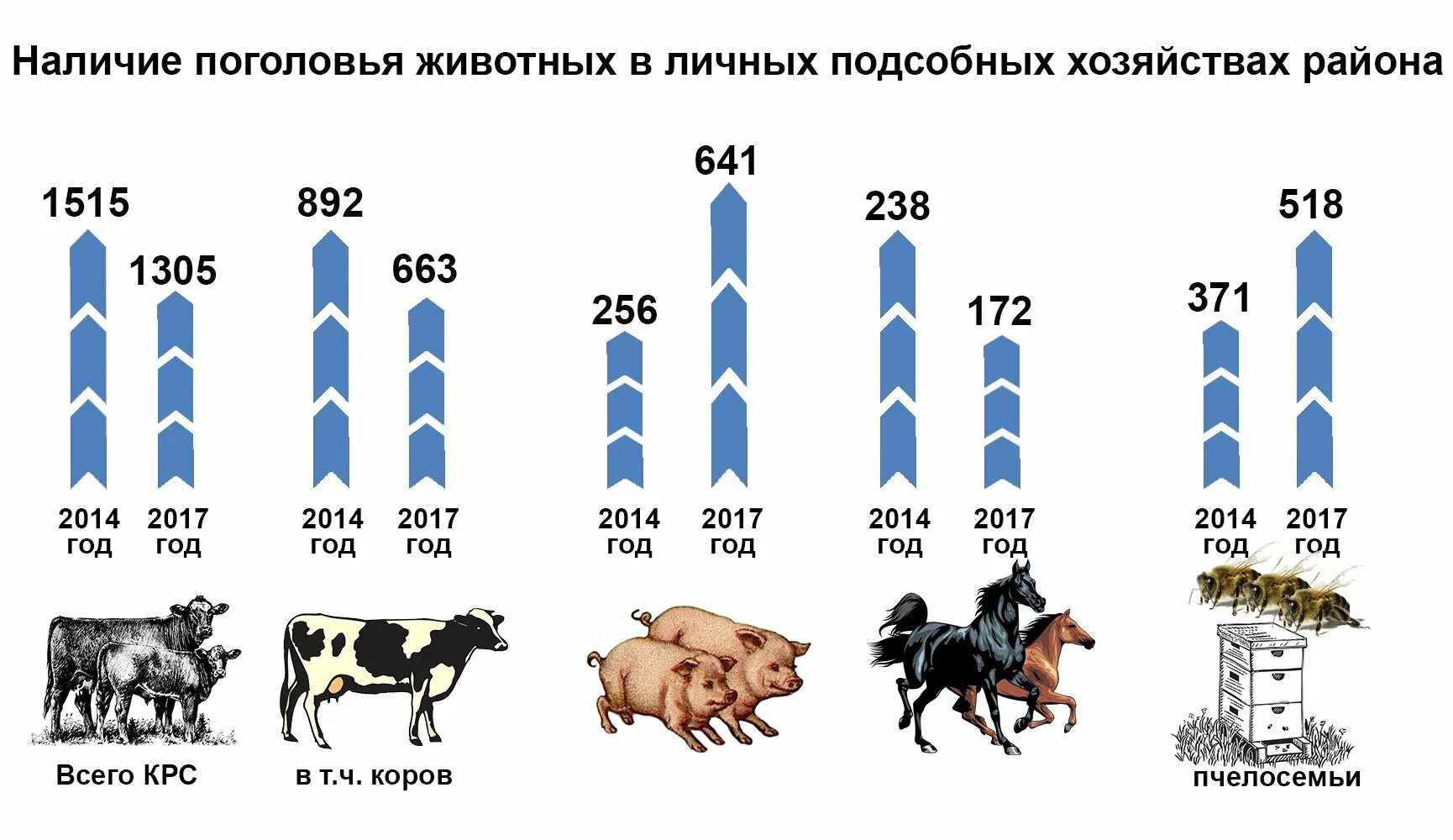 Численность крупного рогатого скота в России 2021. Поголовье коров в России в 2022 году статистика. Поголовье КРС В России в 2021 Росстат. Поголовье коров в РФ. Прирост теленка