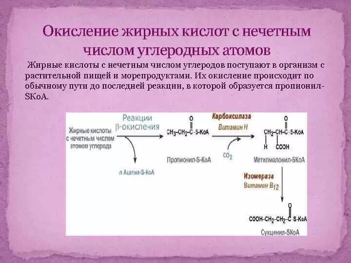 Окисление в биосинтезе. Бета окисление нечетных жирных кислот. Окисление жирных кислот (β-окисление). Реакция бета окисления жирных кислот насыщенных. Бета окисление жирных кислот с нечетным числом углеродных атомов.