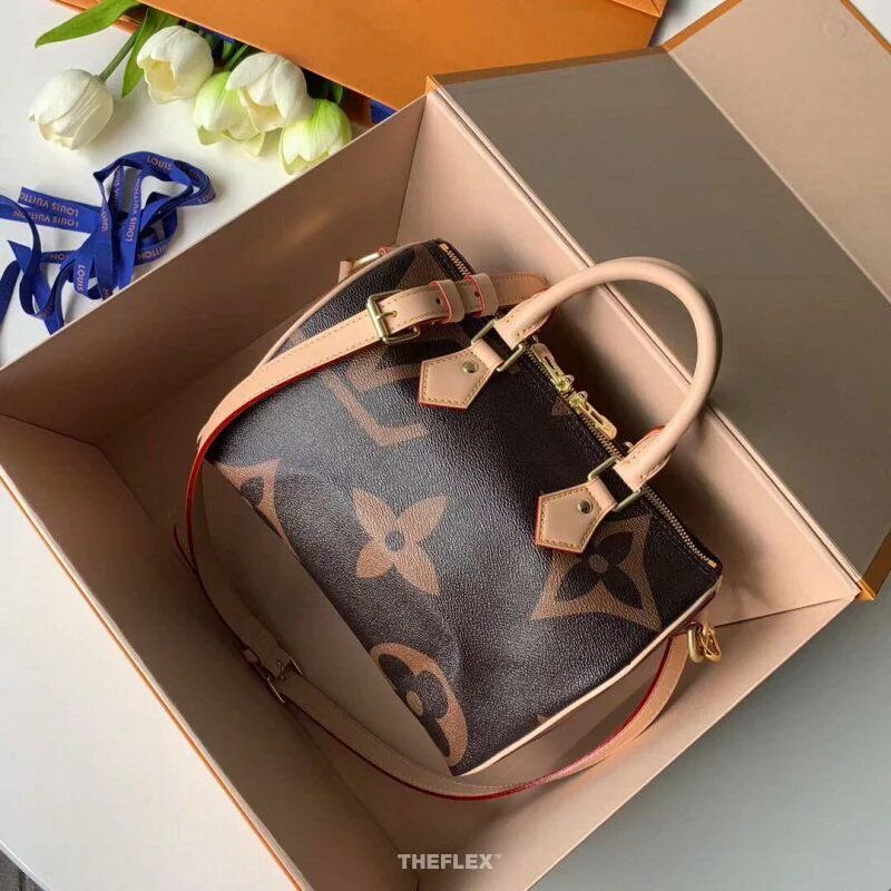 Витон купить сумка. Сумка Спиди 30 Луи Виттон. Сумка Луи Виттон Speedy 25. Louis Vuitton Speedy Bag. Сумка Спиди Луи витон.