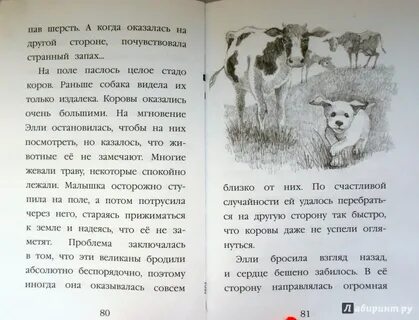 Щенок элли