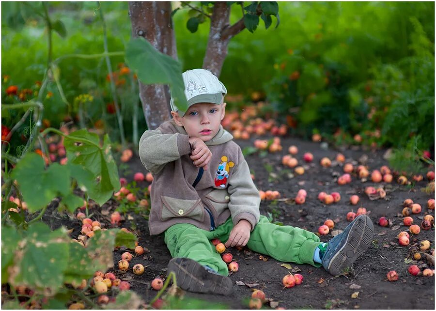 семейная фотосессия на природе летом. девочка в саду. сбор урожая в яблоневом саду. детская фотосессия на природе летом. сидеть под яблоней.
