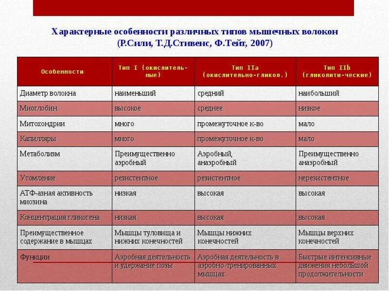 Типы мышечных волокон таблица. Красные и белые мышечные волокна. Соотношение типов мышечных волокон. Белые и красные мышцы.