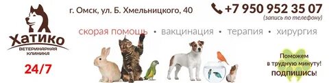 Ветеринарные клиники омска отзывы