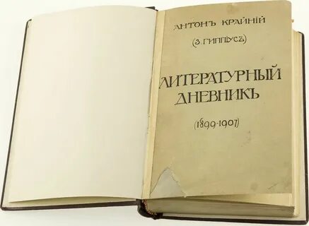 Дневник критика