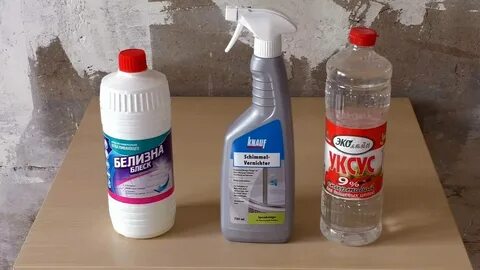 Чем можно обработать плесень Shtampik.com