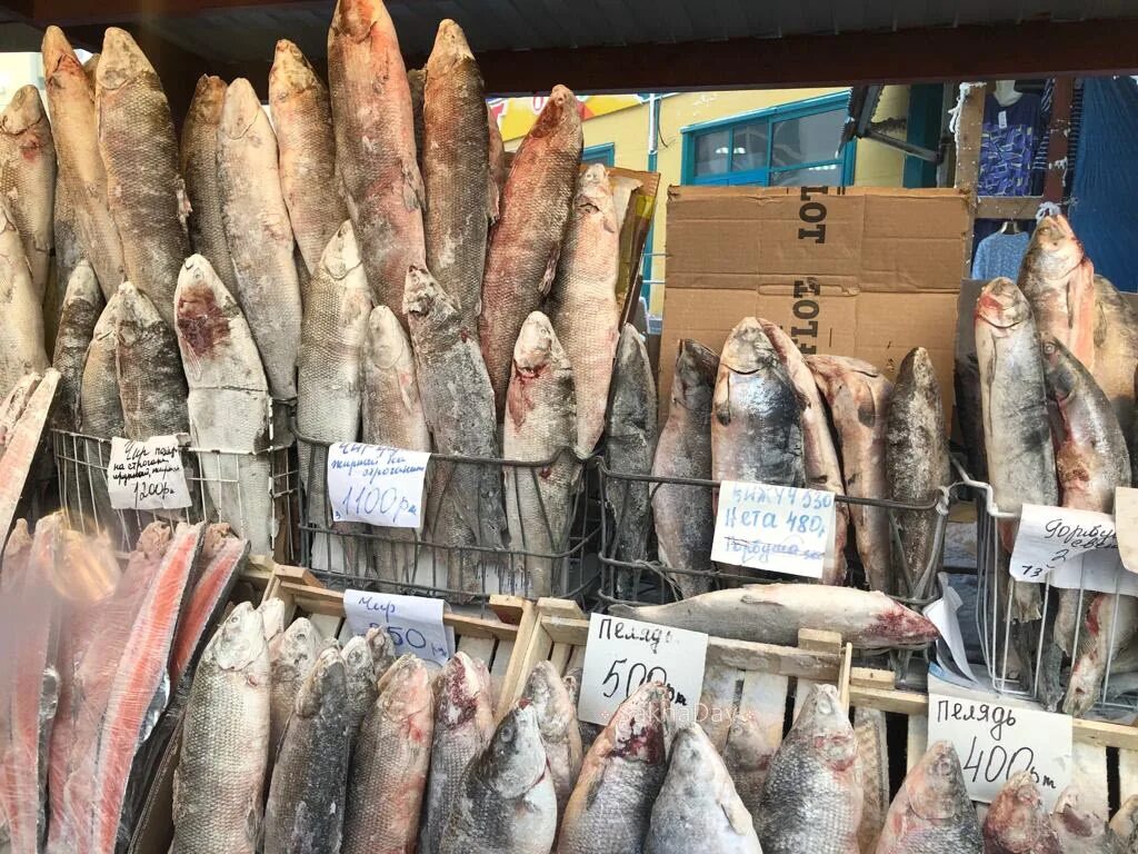 Рыба без холодильника сколько. Рынок рыбы в Якутске. Рынок рыбы Якутск муксун. Рыба в Якутии на рынке. Самый дорогой рыба в Якутск.