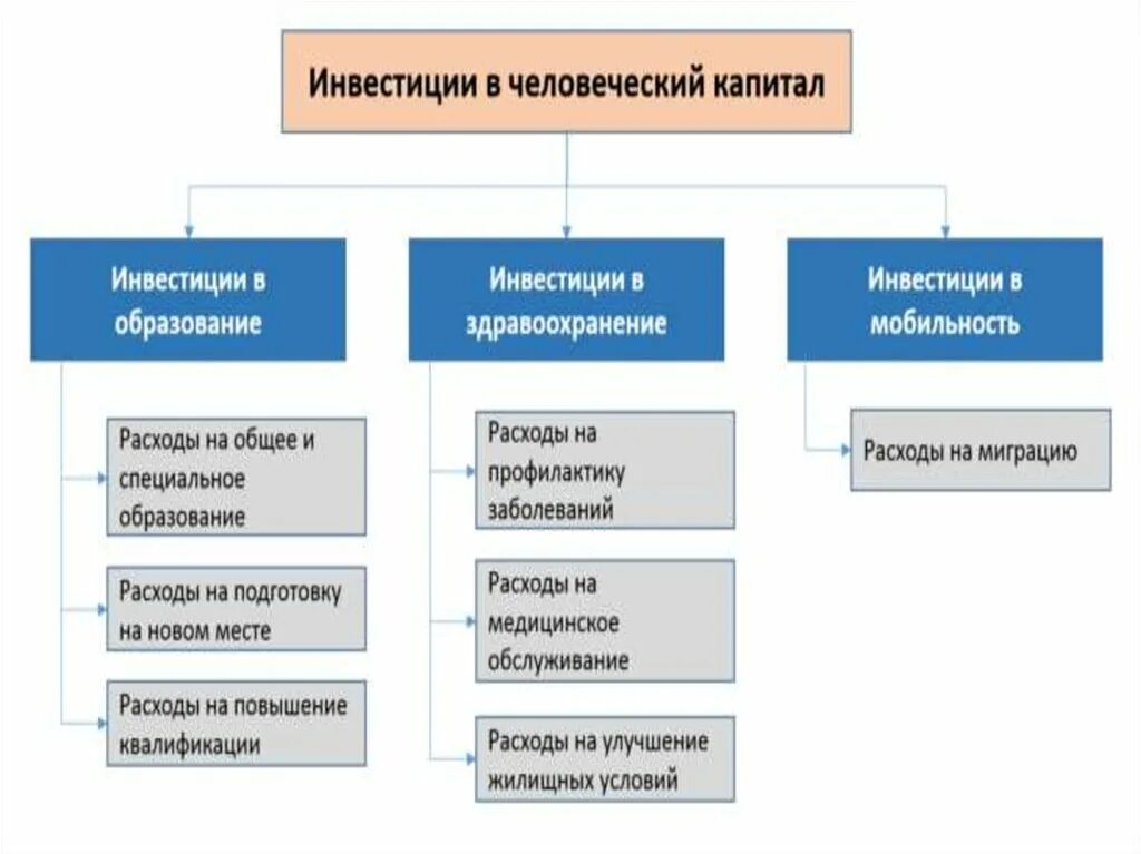 Капитал относится к экономике. Инвестиции в человеческий капитал. Формы инвестиций в человеческий капитал. Инвестиции в человеческий капитал примеры. Особенности инвестирования в человеческий капитал.