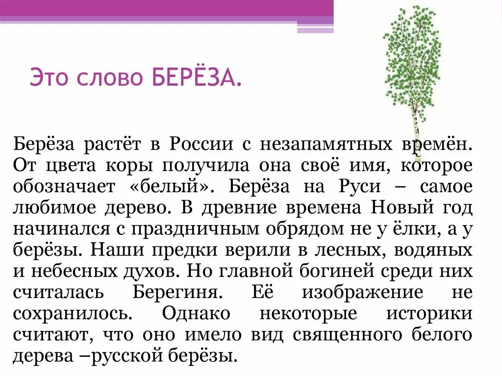 Береза очень созвучна русской природе впр