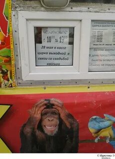 Касса маи