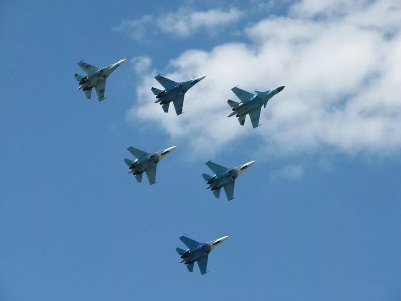 сокол-чеглок. чеглок сокол птица. сокол нападает на стрижа. сапсан птица. летающая птица живопись.