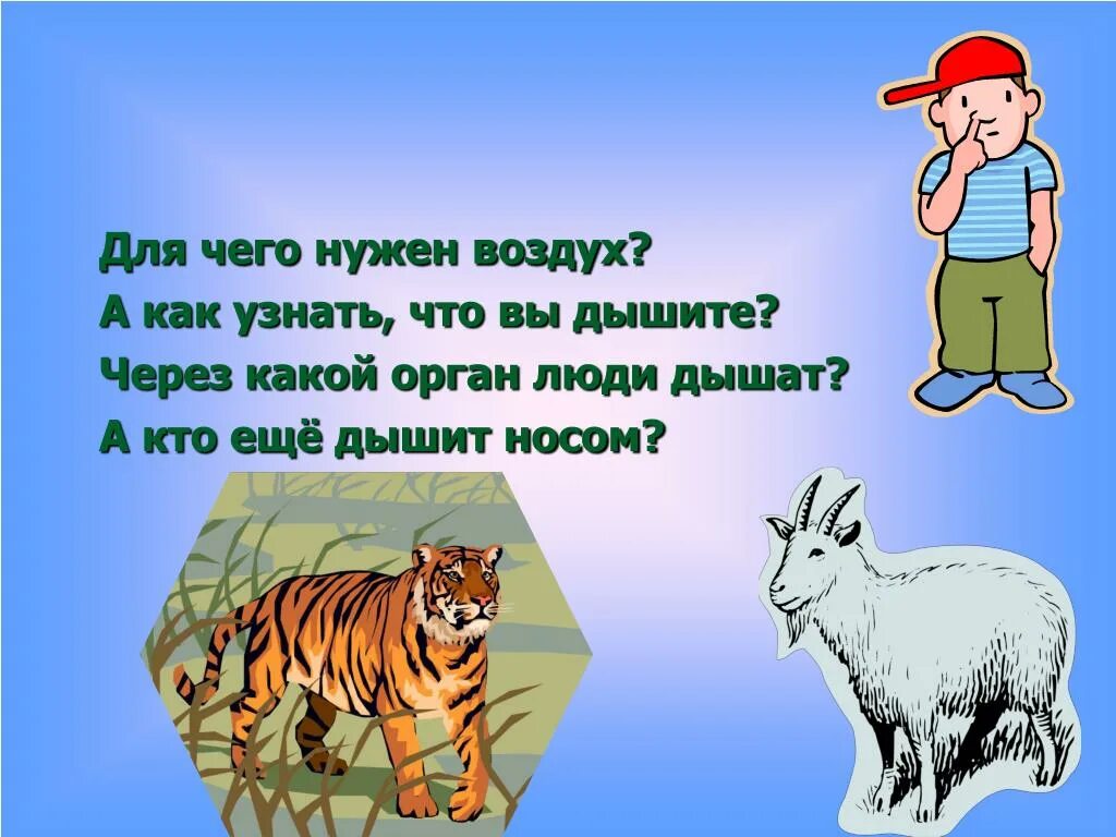 Нужен воздух чтобы дышать. Для чего нужен воздух. Картинки кому нужен воздух. Кому нужен воздух картинки для детей. Для чего нужен воздух человеку.