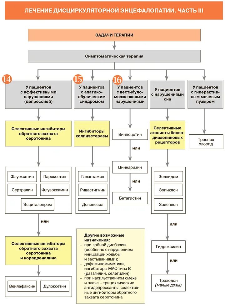 Препараты от энцефалопатии мозга. Схема лечения энцефалопатии головного мозга. Дисциркуляторная энцефалопатия схема терапии. Схема лечения при дисциркуляторной энцефалопатии. Лечение дисциркуляторной энцефалопатии 1 степени препараты.
