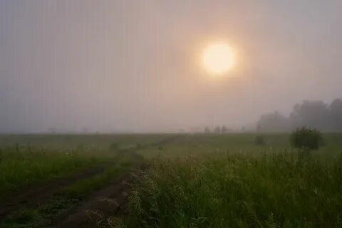 Постелите мне степь