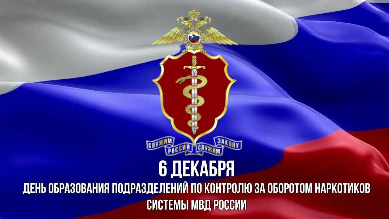 День подразделений экономической безопасности мвд. День наркоконтроля 6 декабря. 6 Декабря праздник МВД. День подразделений по контролю за оборотом наркотиков. День подразделений в системе МВД по контролю за оборотом.