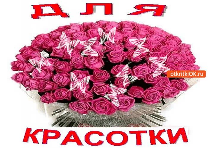 Красавица открытки. Цветы для красавицы. Красивые цветы для красавицы