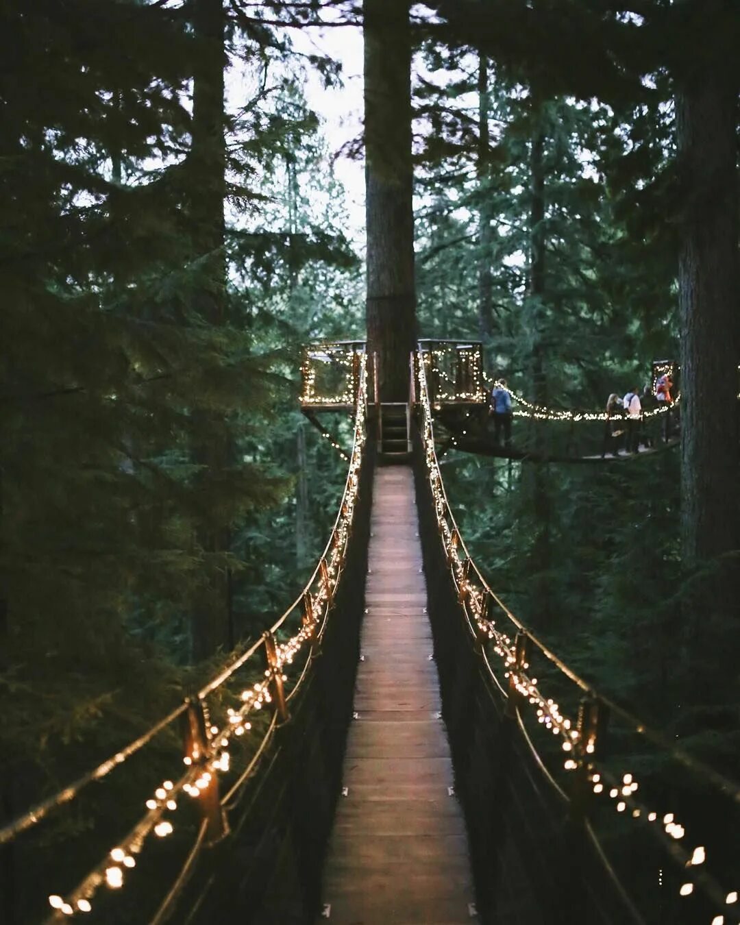 Capilano Suspension Bridge Park. Красивый подвесной мост. Мост в лесу. Деревянный мост. Мосты на каникулы 4