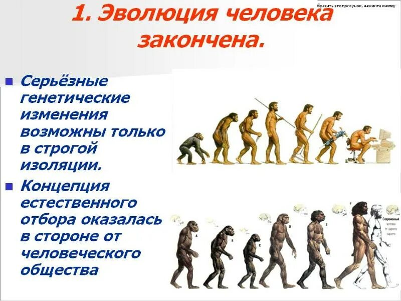 Эволюция человека. Развитие человека. Этапы развития человека. Цепочка развития человека.