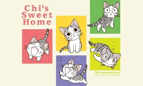 Chis перевод
