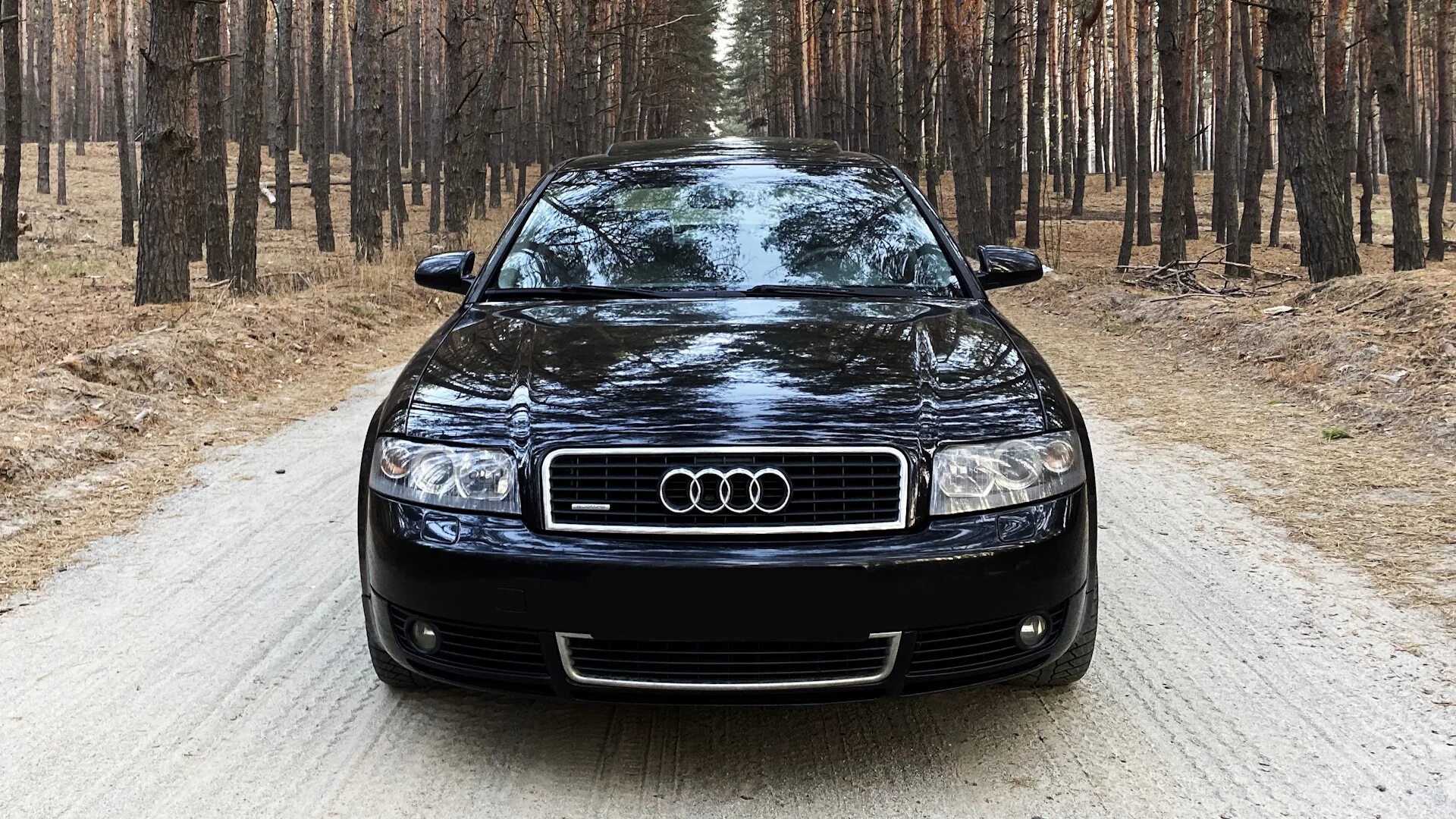 Ауди а4 б6 1.6. Audi a4 b6 1.8t. Audi a4 drive2. Audi a4 b6 1.8. Ауди а4 б6 1.8т кватро.