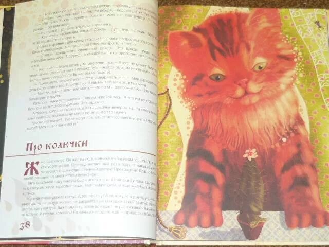 Рассказы про рыжего
