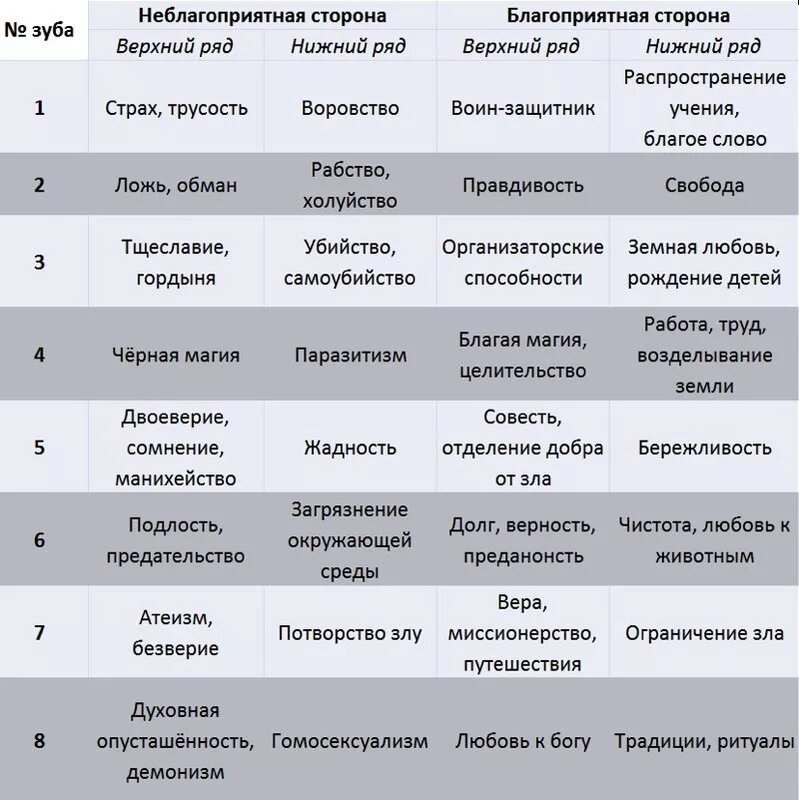 Строение и функции малых коренных зубов нижней челюсти. Какой зуб отвечает за какой орган. Связь зубов с предками рода. Связь зубов с родом. Зубы и болезни внутренних органов.