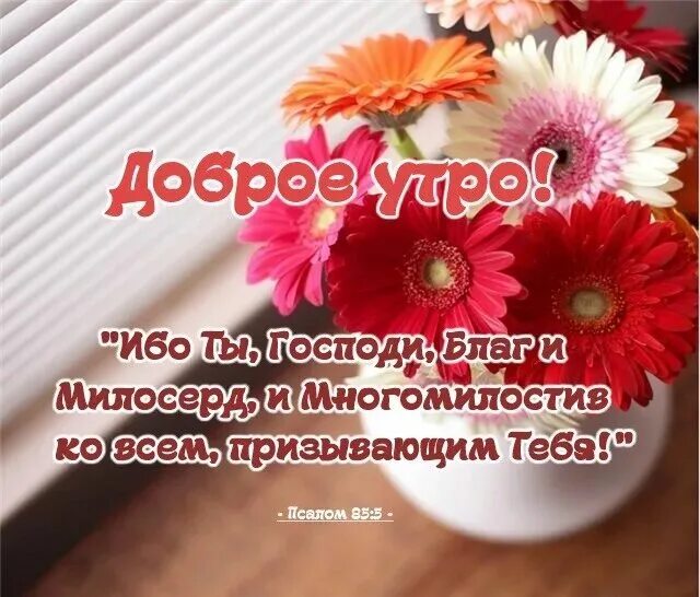 Благословенного утра и прекрасного дня. Христианские пожелания с добрым утром. Бодрого благословенного утра. Доброго благословенного у та. Доброго бласловенного утро.