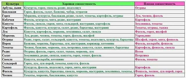 Можно ли сажать огурцы после перца. Совместимость растений на грядке. Соседство овощей на грядках таблица совместимости растений. Таблица совмещенных посадок растений на грядке. Лучшие соседи на грядке.