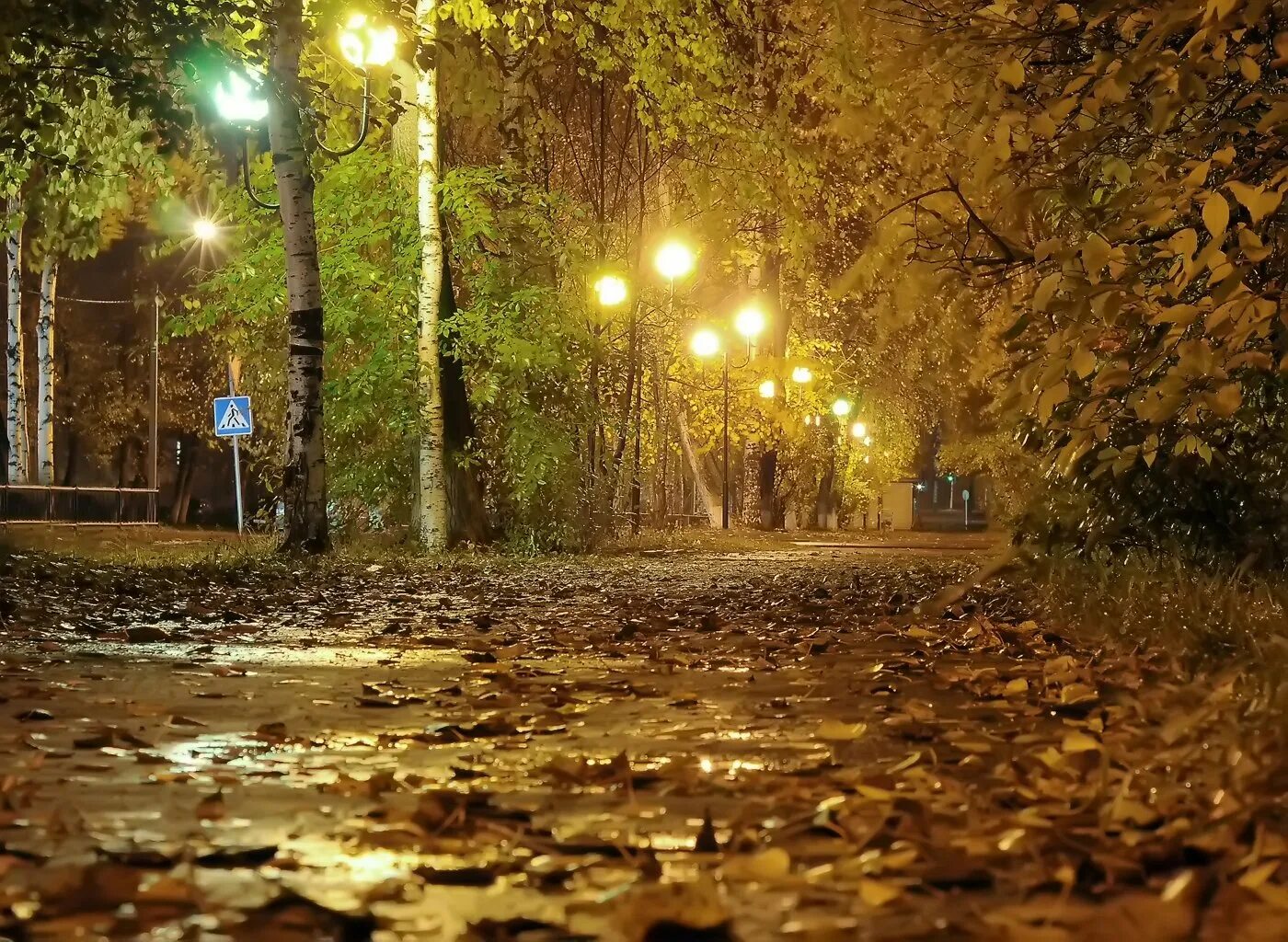 Осенний вечер. Осенними дождливыми вечерами. Осенними дождливыми вечерами. Дождь ночью. Осенними дождливыми вечерами.