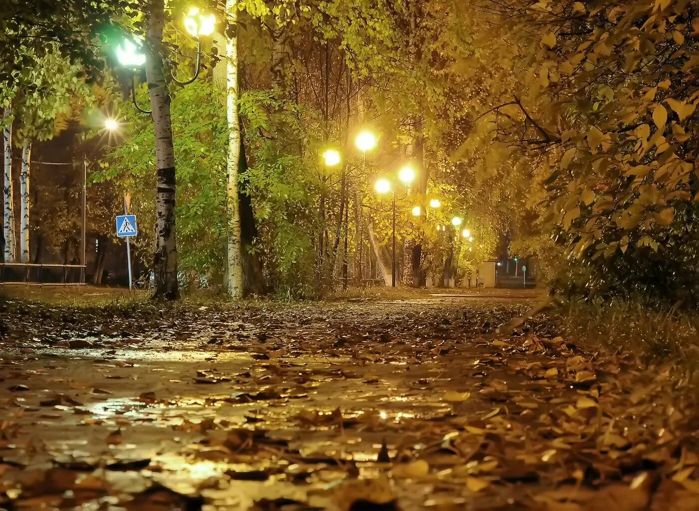 Осень в городе. Осенний вечер. Осень вечер. Осенний город. Вечер дождь осенняя