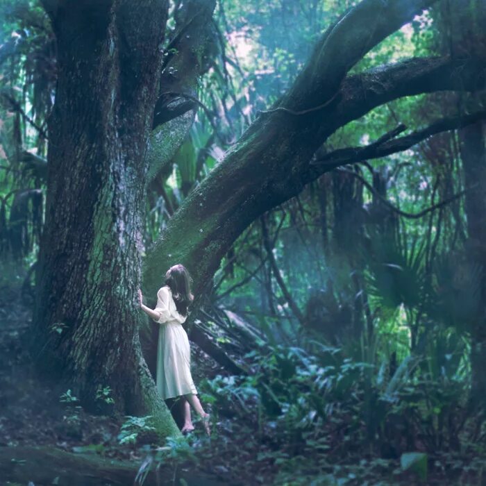 Где то эхо в лесу. Девушка в волшебном лесу. Волшебный лес. Эстетика Волшебный лес. Лес феи Эстетика.